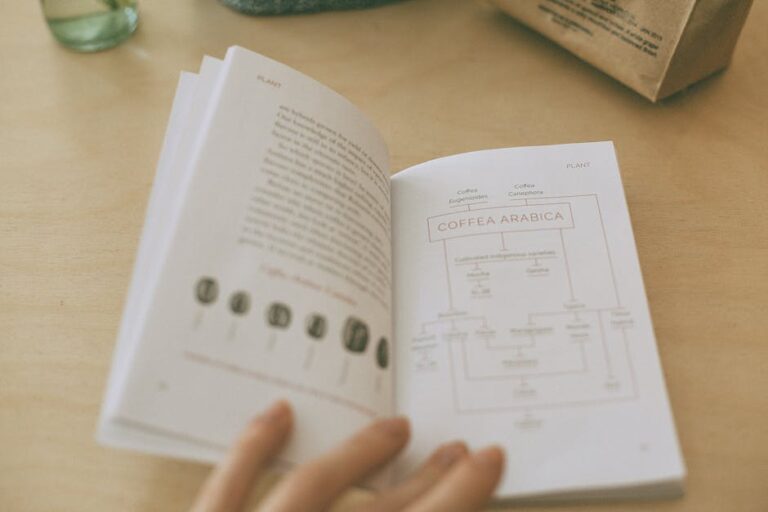 Unlocking Success: Mastering User Research & Testing for Your Indonesian App