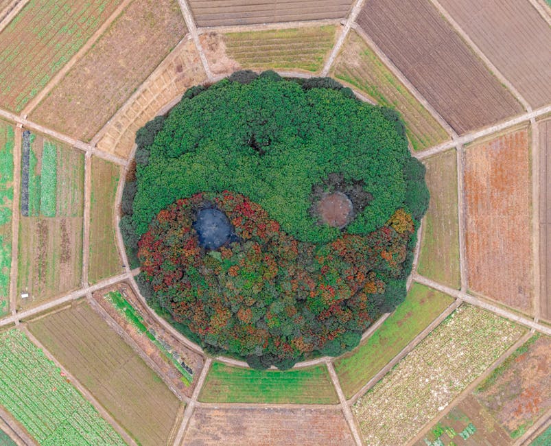 Stunning aerial view of yin yang shaped forest within vibrant farmland in Hangzhou.