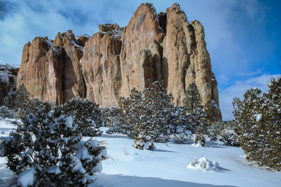 Majestic snow-covered cliffs and trees in Ramah, New Mexico, on a clear winter day.