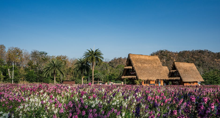 Traditional Thai cottages surrounded by vibrant flower fields under a clear blue sky.