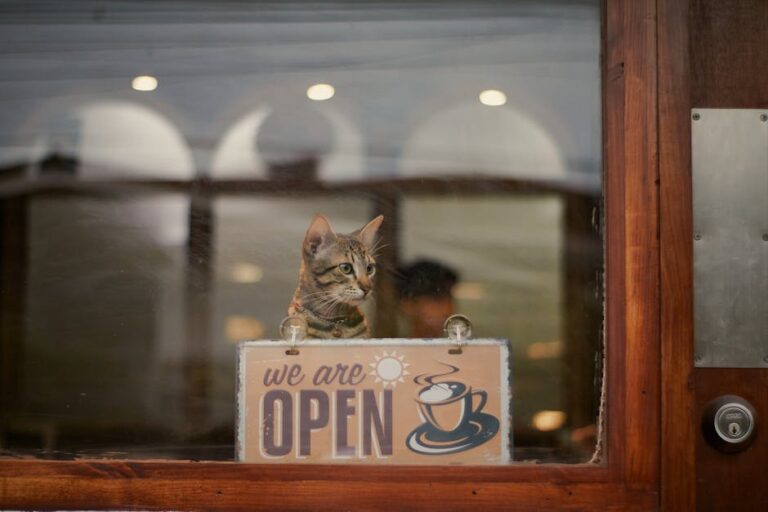 Sukses Bisnis Pet Shop Anda: Panduan Lengkap dari Markas Studio